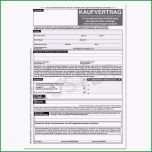 Unglaublich Reinigungsplan Küche Vorlage Kostenlos Hübsch 19