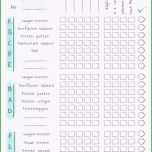 Unglaublich Reinigungsplan Vorlage