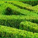 Unglaublich Risikomanagement Risikomanagementsystem Fmea