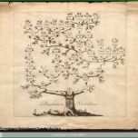 Unglaublich Stammbaum Zum Ausdrucken Memory Vorlagen Zum Ausdrucken