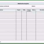 Unglaublich Vorlage Auditbericht Awesome Maßnahmenplan Vorlage Zum