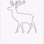 Unglaublich Vorlage Elch 584 Malvorlage Vorlage Ausmalbilder Kostenlos
