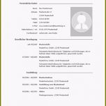 Unvergesslich 10 Professionelle Bewerbung Vorlage