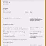 Unvergesslich 11 Arbeitszeugnis Kündigung In Probezeit Vorlage