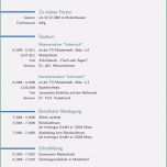 Unvergesslich 12 Beispiel Muster Lebenslauf Planet Beruf Interview