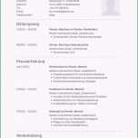 Unvergesslich 12 Tabellarischer Lebenslauf Vorlage 2013