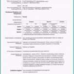 Unvergesslich 14 Europass Lebenslauf Muster Deutsch