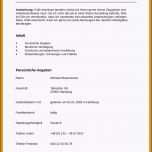 Unvergesslich 15 Ehrenamtliche Tätigkeit Lebenslauf