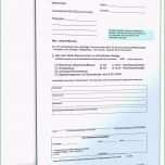 Unvergesslich 15 Eröffnungsbilanz Ug Vorlage