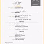 Unvergesslich 2 3 Ausführlicher Lebenslauf Polizei Muster