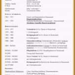 Unvergesslich 2 3 Handgeschriebener Tabellarischer Lebenslauf Muster