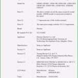 Unvergesslich 20 Schulischer Lebenslauf Vorlage