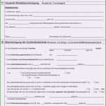 Unvergesslich 20 Vorlage Antrag Elternzeit Vater