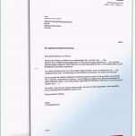 Unvergesslich 62 Inspiration Spendenbrief Schreiben Vorlage Modelle