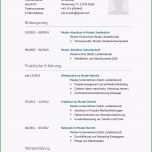 Unvergesslich Aktuelle Vorlage Lebenslauf Lebenslauf Beispiel