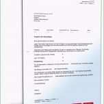 Unvergesslich Angebot Gartenpflegearbeiten