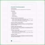 Unvergesslich Arbeitszeugnis Hauswirtschafterin Vorlage Einzigartige