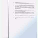 Unvergesslich Außerordentliche Kündigung Vorlage Luxus Außerordentliche