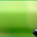 Unvergesslich Berlin Klang Schalen Massage Kime