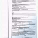 Unvergesslich Bewerbungsbogen Freiwilligen Nst Bundeswehr Fwd