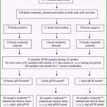 Unvergesslich Btm Dokumentation Vorlage Wunderschönen Relative Levels