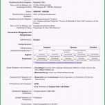 Unvergesslich Cv Europass Vorlage