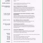 Unvergesslich Der Lebenslauf Curriculum Vitae Resume Focus Line