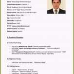 Unvergesslich Englisch Cv Vorlage – Various Vorlagen