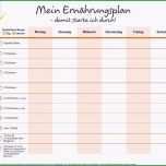 Unvergesslich Ernährungsplan Vorlage Elegant Ernährung Erfolgreich