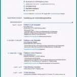 Unvergesslich Eu Lebenslauf Ohne Foto Muster Lebenslauf Vorlage Ohne