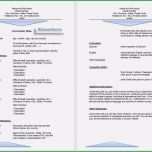 Unvergesslich Fantastisch Kauf Manager Lebenslauf Fotos Bilder Für Das