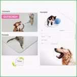 Unvergesslich Gutschein Verschiedenes Hund &amp; Katze