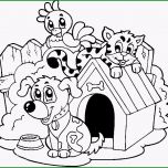 Unvergesslich Hund &amp; Katze