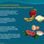Unvergesslich Hygieneschulung Vorlage Einzigartig Haccp Hygieneschulung