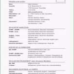 Unvergesslich Jahresplanung Unternehmen Vorlage Lebenslauf Praktikum 9