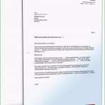 Unvergesslich Kündigung Lebensversicherung Vorlage