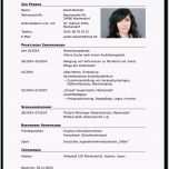 Unvergesslich Lebenslauf Ausbildung Beispiel Abbild – Bandpages