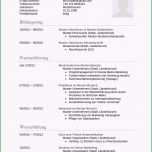 Unvergesslich Lebenslauf Muster Für Sachbearbeiter