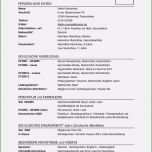 Unvergesslich Lebenslauf Schüler Vorlage Word Inspiration Lebenslauf