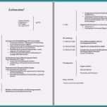 Unvergesslich Lebenslauf Vorlage Englisch Gute 6 Amerikanischer