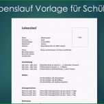Unvergesslich Lebenslauf Vorlage Für Schüler Word
