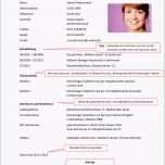 Unvergesslich Lebenslauf Vorlage Praktikum – Kostenlos Vorlagen