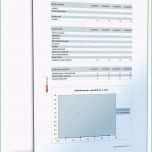 Unvergesslich Liquiditätsplan Unter Excel