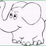 Unvergesslich Malvorlage Elefant Bilder Quotes Baby