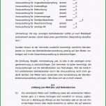 Unvergesslich Zusatzvereinbarung Mietvertrag Hundehaltung